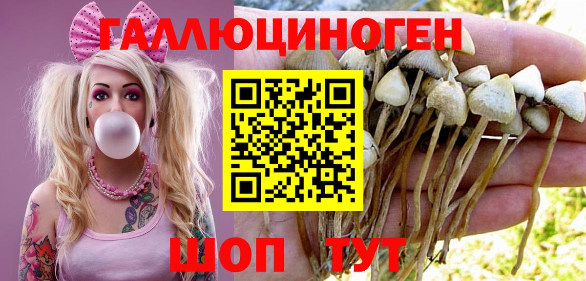 Псилоцибиновые грибы Magic Shrooms Гурьевск