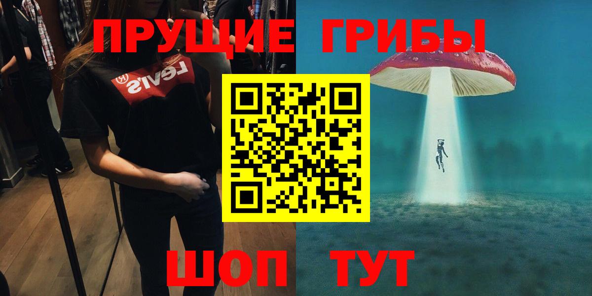 Гурьевск  Галлюциногенные грибы Psilocybine cubensis  Вход с VPN 